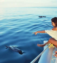Océane Cruises Mauritius
