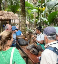 Parrot Tour