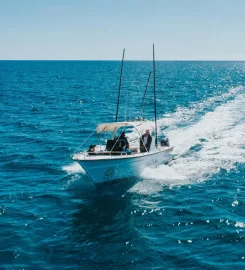 Pelagic Paradise