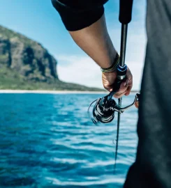 Pelagic Paradise