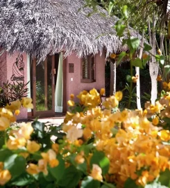 Ravintsara Wellness Hotel