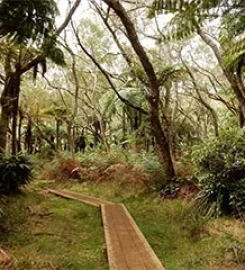 Réunion Randonnée