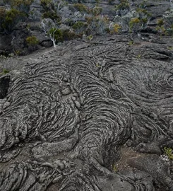 Réunion Randonnée