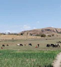 Safari Tours Madagascar