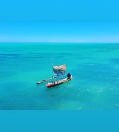 Salary Bay