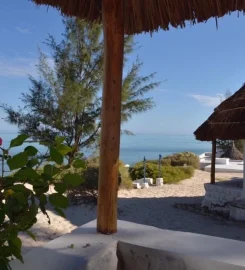 Salary Bay