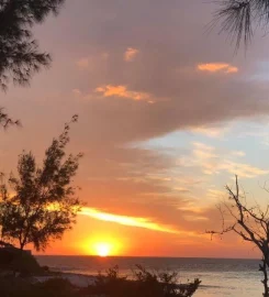 Salary Bay