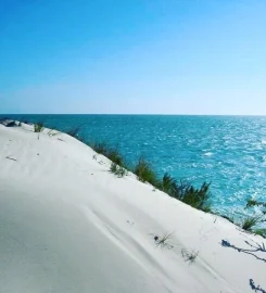 Salary Bay