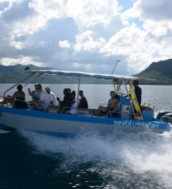 Sea Blue Safari
