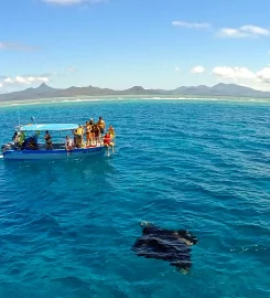 Sea Blue Safari