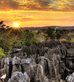Sense of Oceans Madagascar