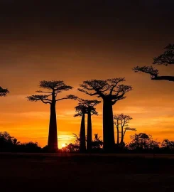 Sunset Mada Agency