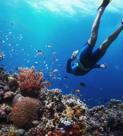 Tirant Travel & Tours
