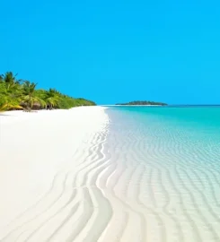 Tirant Travel & Tours
