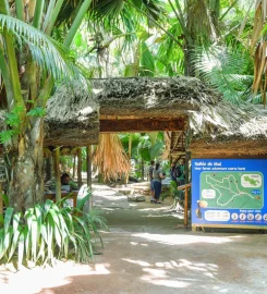 Tirant Travel & Tours