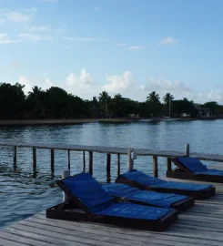 Tropical Service Voyages