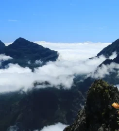 Terres Réunionnaises