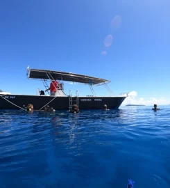 White Tip Divers